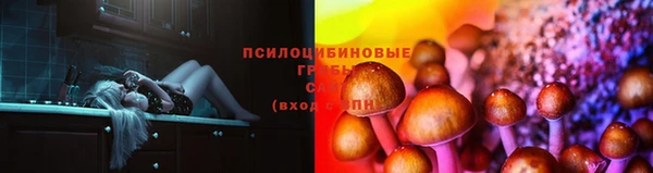 амф Арсеньев