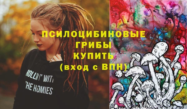 круглые Аркадак