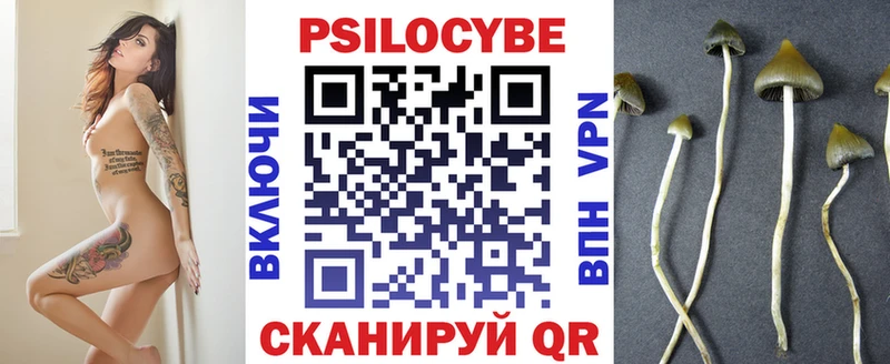 Галлюциногенные грибы Psilocybine cubensis  как найти   kraken маркетплейс  Макарьев 